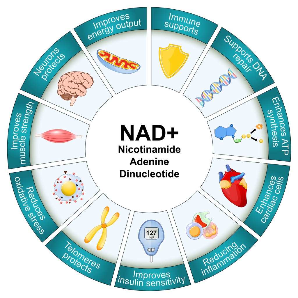 NAD+