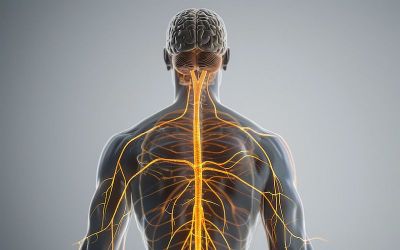 Körper Trauma